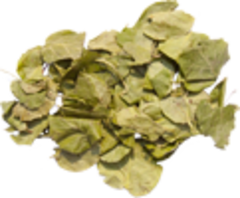 Грушанка (трава, 50гр.) (Старослав)