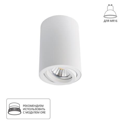 Накладной светильник Arte Lamp SENTRY A1560PL-1WH