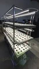 Многоярусный гидропонный стеллаж 3 яруса B1750хД2100хШ600мм до 300 растений