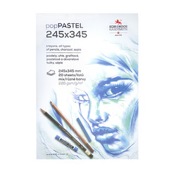Бумага для пастели 245х345мм 220 г/м2 20л, 5цв, склейка