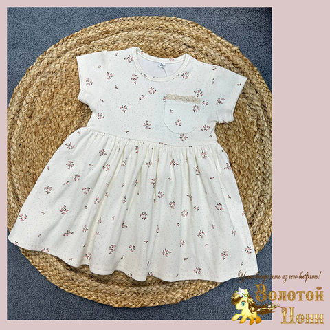 Платье хл/трикотаж д (2-6) 260123-WQ276