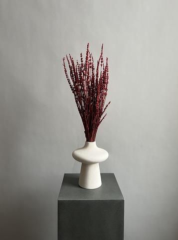 Лаванда стабилизированная красная