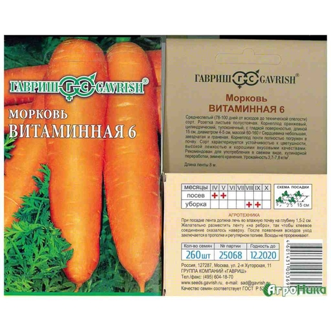цопе попки   