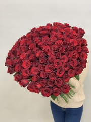 Букет 101 красная роза Эквадор 70 см в ленте