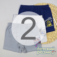 2 (3-4 года)