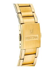 Часы мужские Festina F20633/3 Timeless Chronoraph
