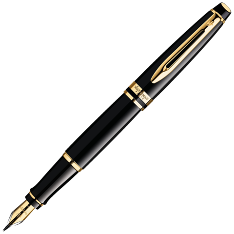 Ручка перьевая Waterman Expert Black GT, F (S0951640)