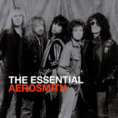 Aerosmith / The Essential (2CD)