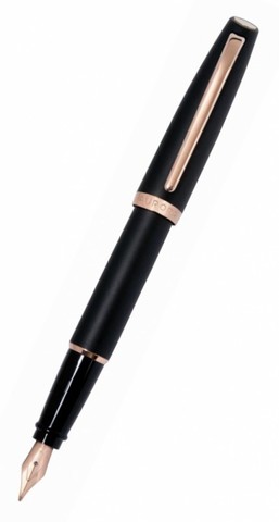Ручка перьевая Aurora Style Black PGT, M (AU-E20-PNM)