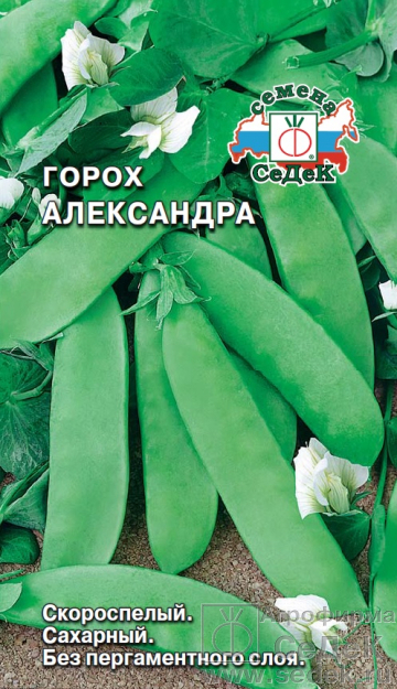Горох Александра сахарный 5гр СеДеК