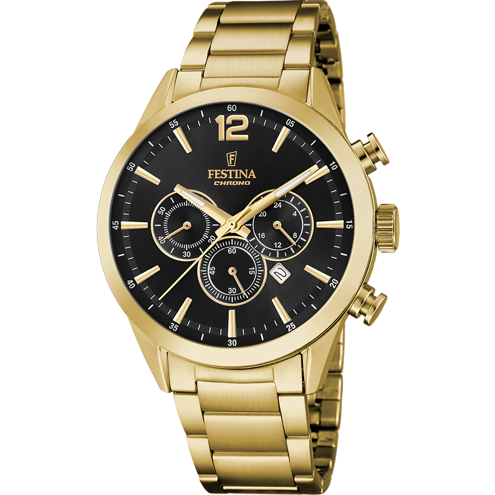 Часы мужские Festina F20633/3 Timeless Chronoraph