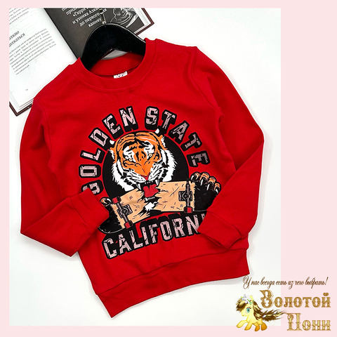 Свитшот хлопок м (6-9) 251128-SSD159