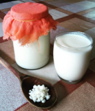 Тибетский молочный гриб - кефирный грибок