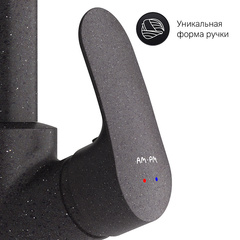 Смеситель для кухни с каналом для питьевой воды, черный, AM.PM Like - F8007722