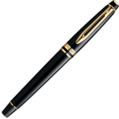 Ручка перьевая Waterman Expert Black GT, F (S0951640)