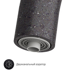 Смеситель для кухни с каналом для питьевой воды, черный, AM.PM Like - F8007722