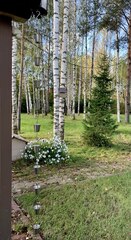 Дождевая цепь «Чарка нержавеющая на цепи»