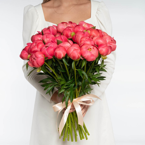 Букет 25 коралловых пионов