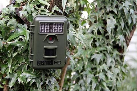 ФОТОЛОВУШКА BUSHNELL NATUREVIEW CAM HD MAX #119740