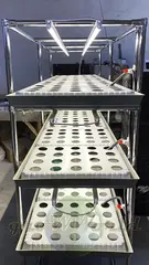 Многоярусный гидропонный стеллаж 3 яруса B1750хД2100хШ600мм до 300 растений