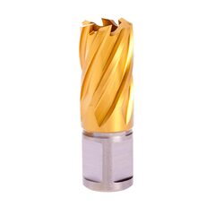 Сверло корончатое 20,0x30мм HSS-G TiN Weldon19 Terrax by Ruko 108220TTX