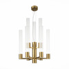 Люстра подвесная ST Luce Terni SL1229.303.09