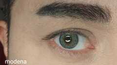 BOLLENA™ - MODENA