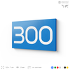 Номер на дверь 300, табличка на дверь для офиса, квартиры, кабинета, аудитории, склада, голубая 120х70 мм, Айдентика Технолоджи