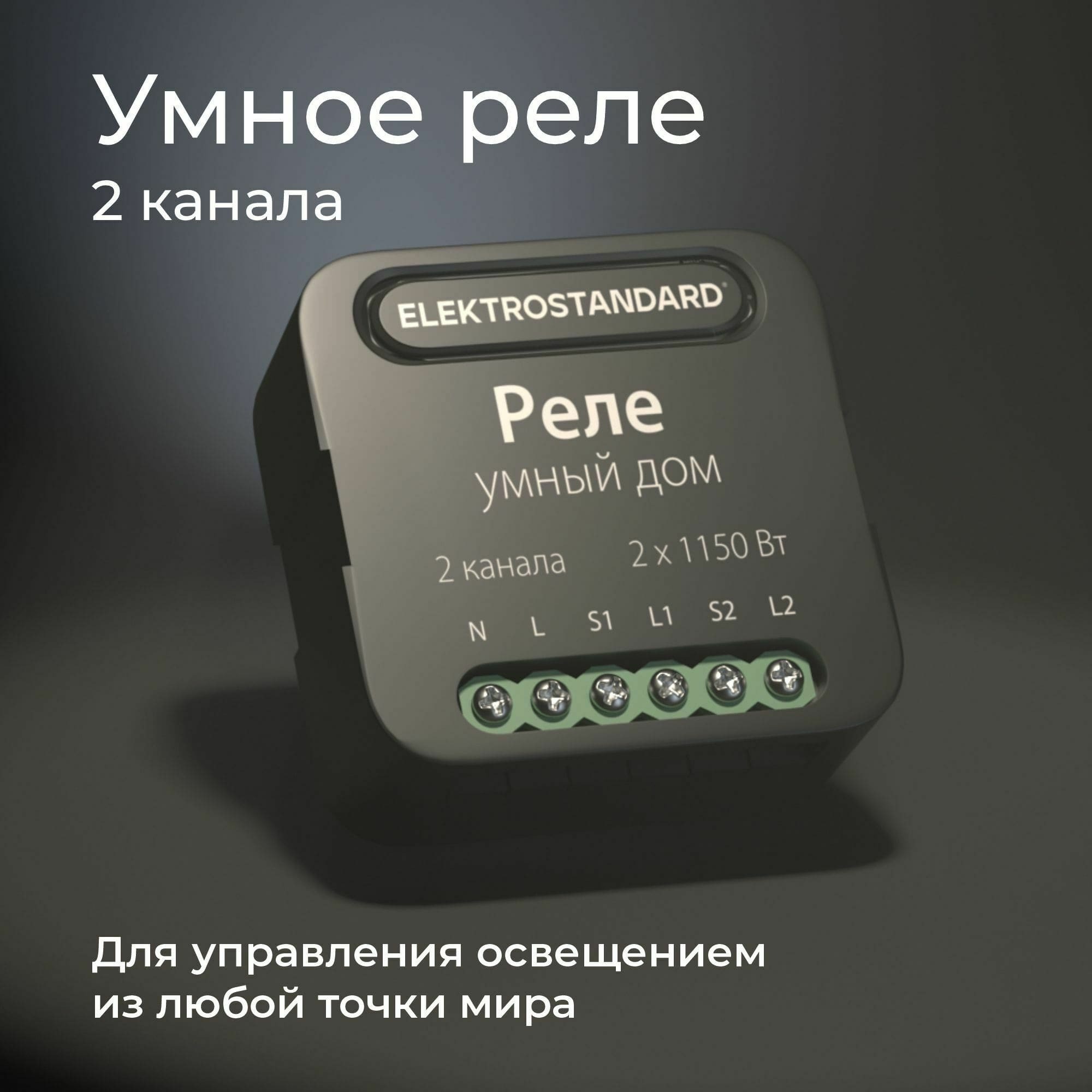 Умное двухканальное реле 76007/00 (Elektrostandard, a059326)