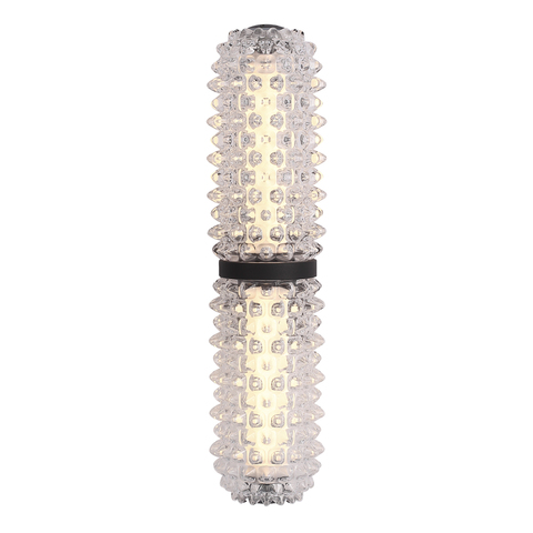 Светильник настенный ST Luce Saguaro SL6144.401.01