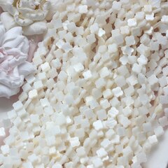 Перламутр натуральный молочный, Клевер, 10 мм, ПР088