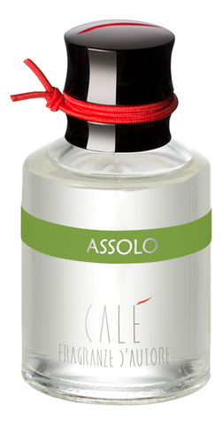 Assolo