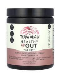Terra Origin Healthy Gut, добавка для нормализации функций желудочно-кишечного тракта, вкус ягод, 243 г (8,57 унции)