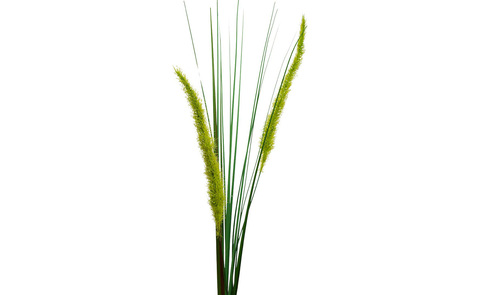 Веточка камыша искусственная 75см Garda Decor 8J-15RS0006