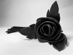 Черная замшевая плеть с лаковой розой в рукояти - 40 см. - 