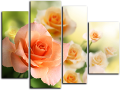 Модульная картина"Персиковые розы"