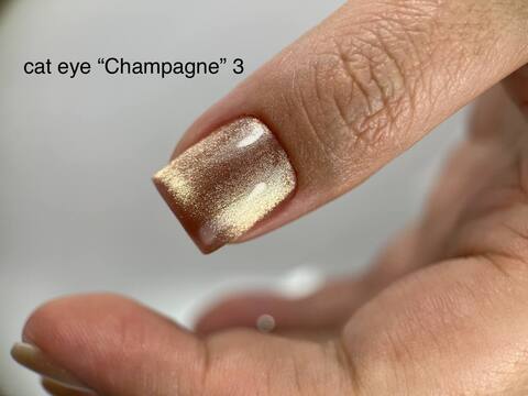 Fresh CAT EYE CHAMPAGNE 3
