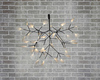 Люстра Heracleum Black D50