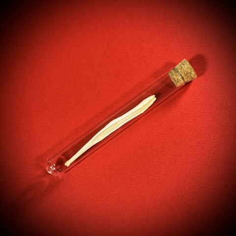 Бакулюм волка в стеклянной колбе