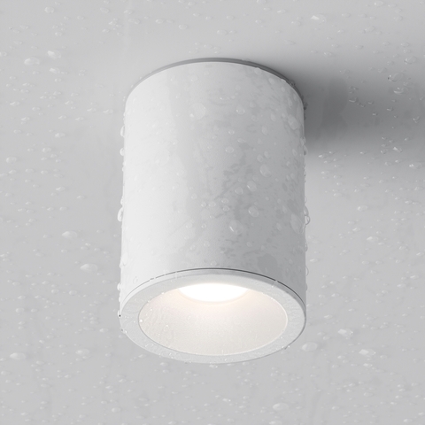 Накладной светильник Maytoni Alfa C029CL-01W