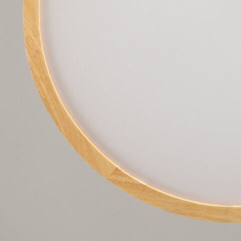 Потолочный светодиодный светильник De City Норден 660015501