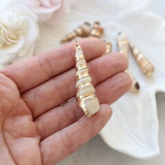 УЦЕНКА!!! Подвеска Ракушка с позолотой 25-45 на 8-15 мм, У122