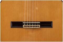 Гитара классическая 4/4 ALTAMIRA N300+