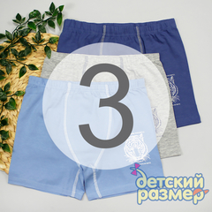 3 (5-6 лет)