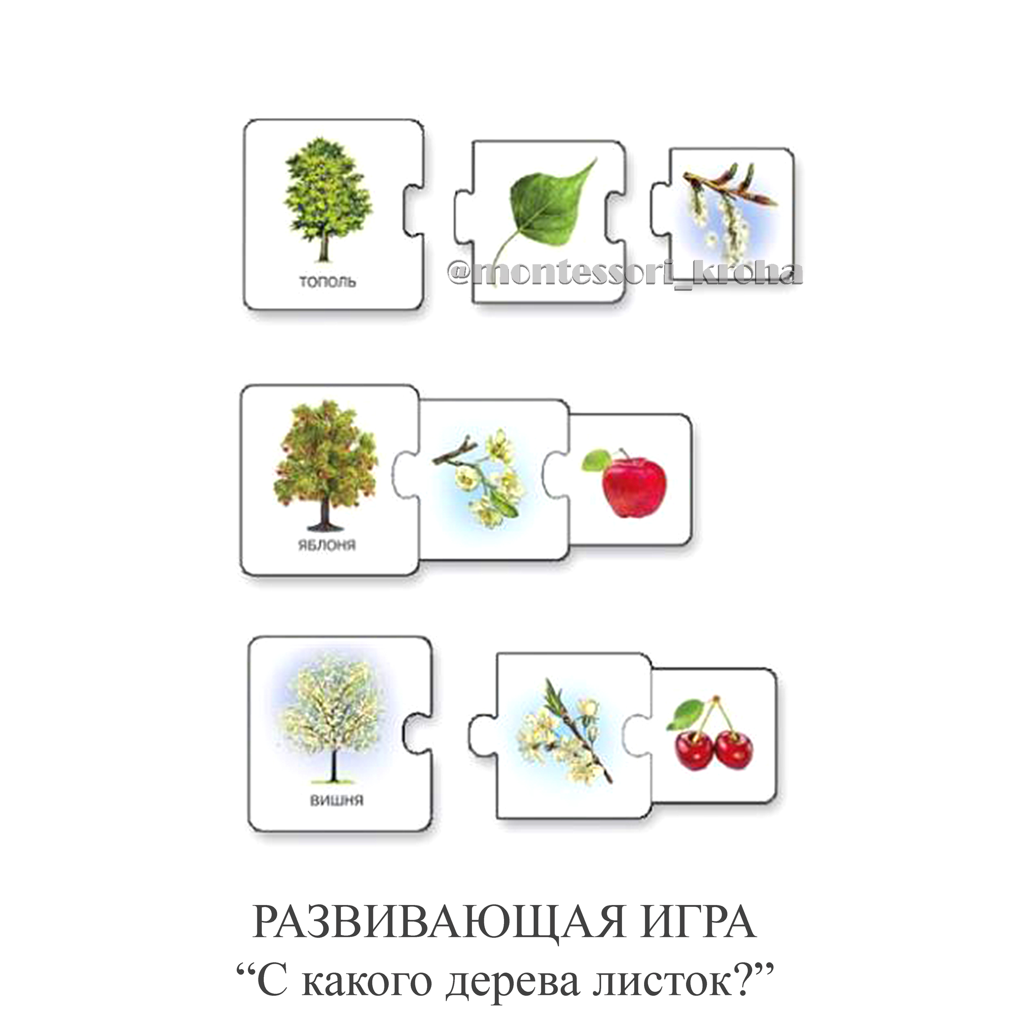 РАЗВИВАЮЩАЯ ИГРА «С какого дерева листок?» – купить за 290 руб | Монтессори  Кроха