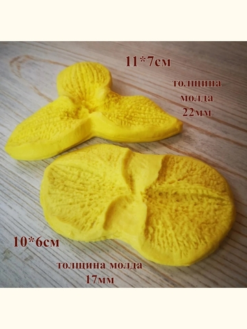 Молды 