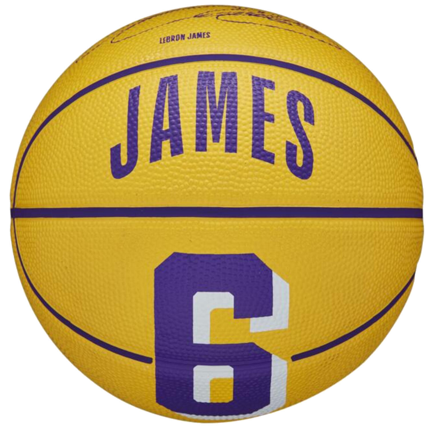 Wilson NBA Player Icon LeBron James Mini Ball размер 3 баскетбольный мяч  купить в Москве | Доставка по России.