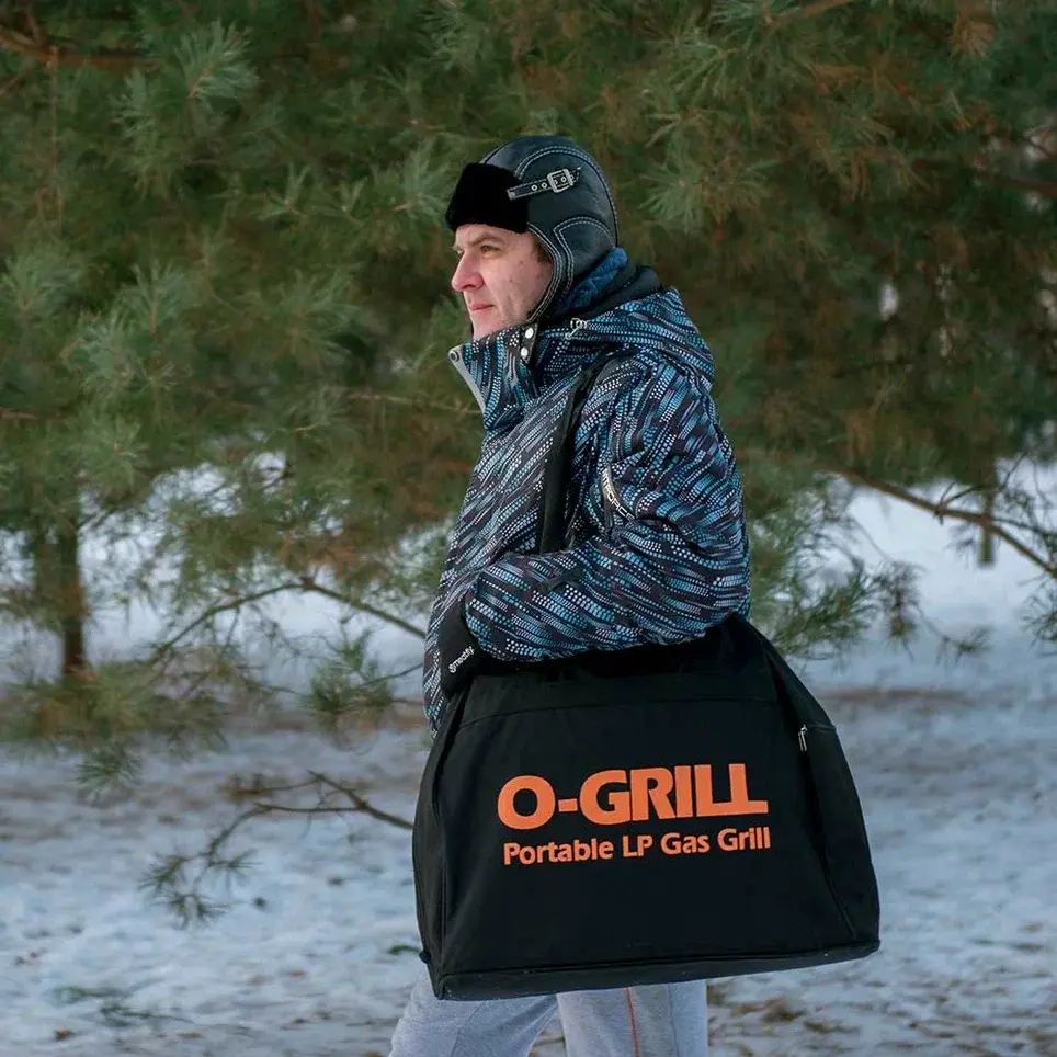 Сумка Carry-O 500