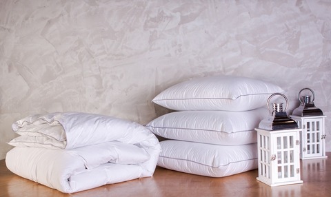 Набор одеяла 200х200 и подушки 68x68 из гусиного пуха German Grass Gray Familie Down