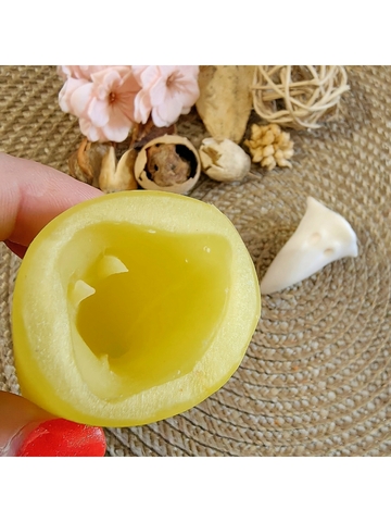 Вайнер клюв жар-птицы 